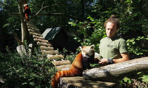 Zatvoren zagrebački Zoološki da se timaritelji ne bi zarazili