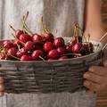 Ovo fino voće bi svi trebali jesti: Zdravstvene blagodati trešanja