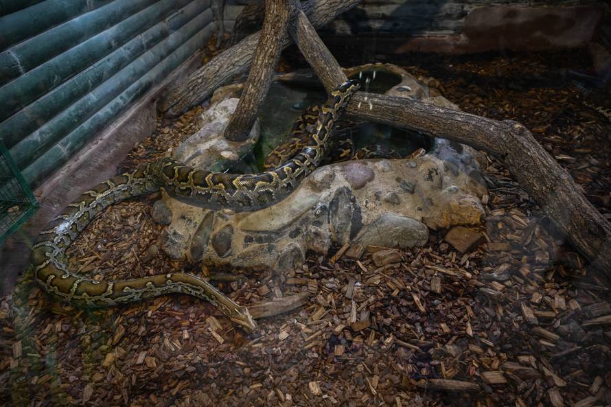 24sata Zagreb: Rodilište u Zoološkom vrtu