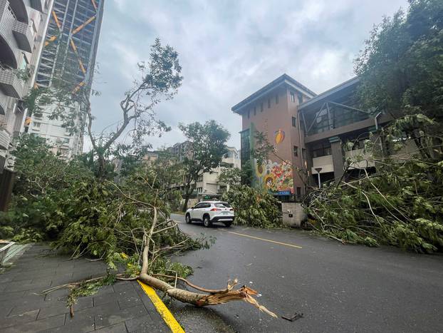 Fallen trees lie on the ground after Typhoon Kong-rey made landfall in Taipei