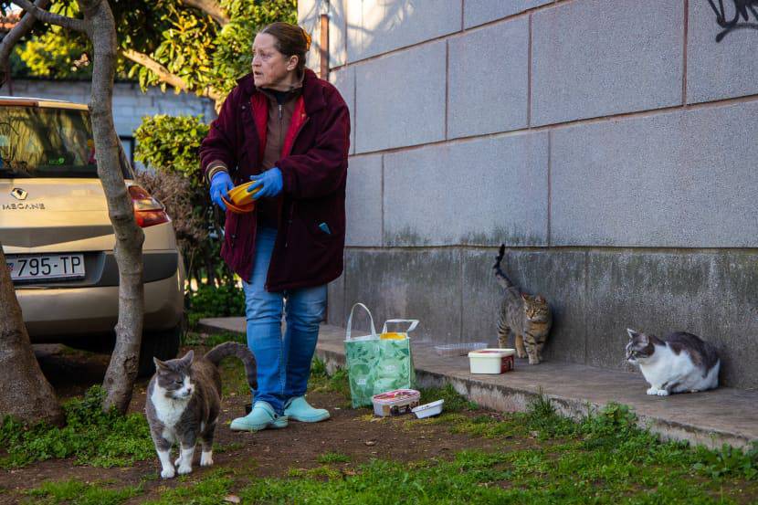 Žena je u Puli hranila mačke ispred zgrade. Kaznili su je sa 132 eura: 'Živim od socijale!'