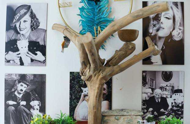 Zagreb: Emilija i Amer Alaydi otvorili su kafić Animal caffe