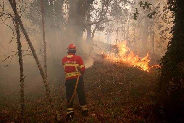 A firefighter tries to extinguish fire during a forest fire near the village of Torgal