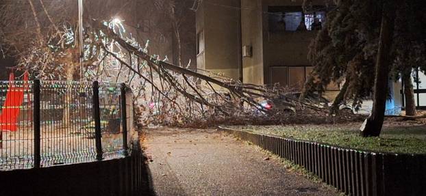 FOTO Ledena kiša 'smrznula' Knin. Padaju i stabla: 'Sve se ledi. Ne mogu se vrata otvoriti'