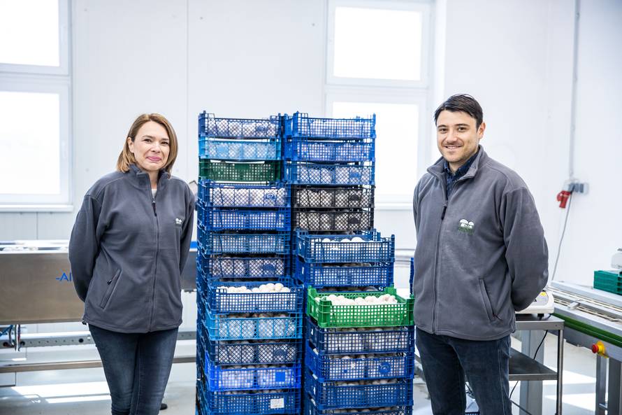 Izgradio je dva plastenika, a danas proizvodi 35 tona gljiva