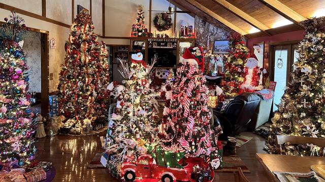 Njoj blagdani traju dulje nego drugima: Ima 22 božićna drvca u kući i ne miče ih dva mjeseca