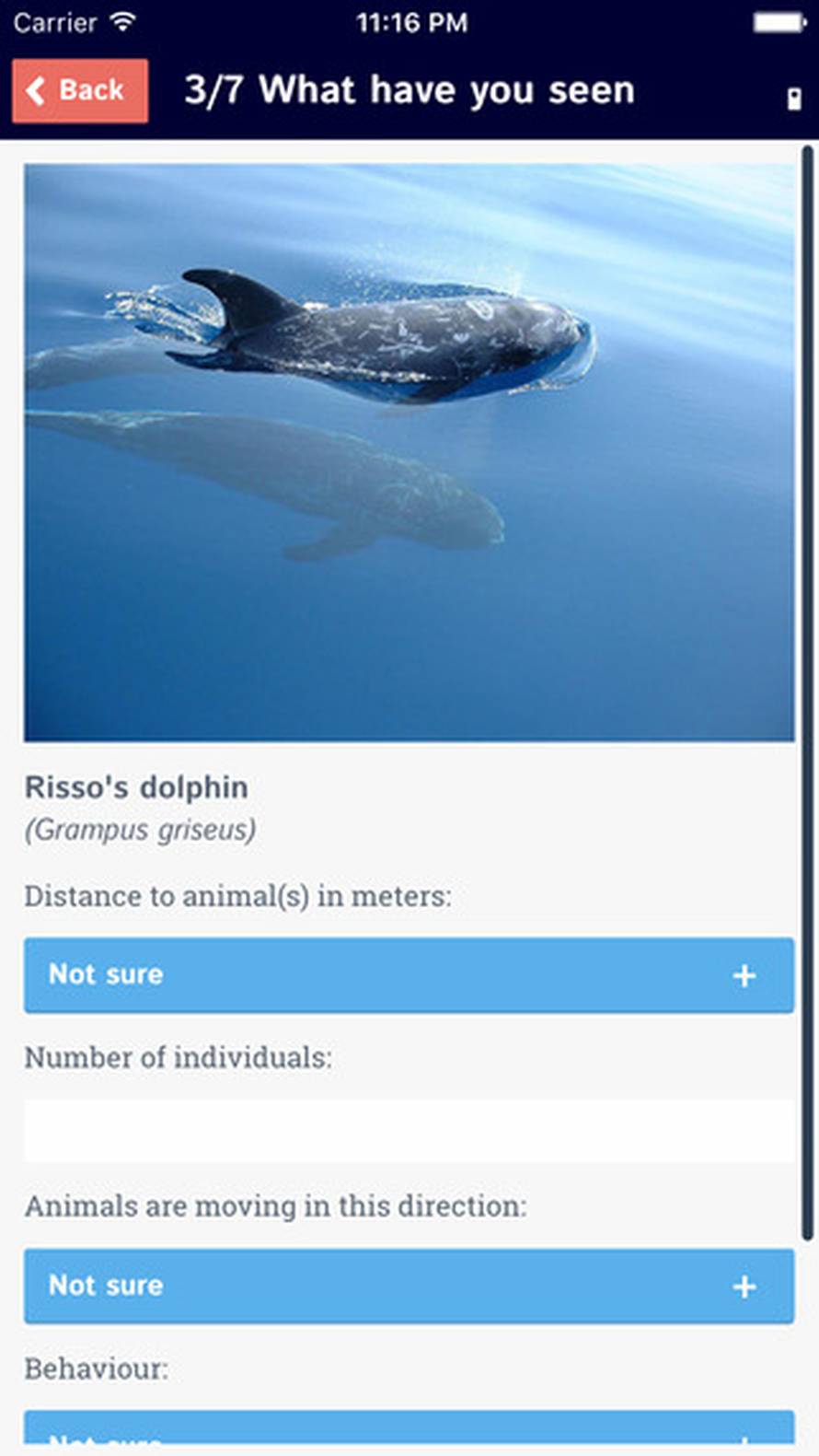 Snimite i javite gdje ste vidjeli divlje životinje u Jadranu