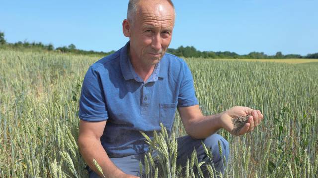 Đakovo:  Mato Brlošić govori o suši u Slavoniji