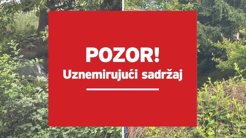 HOROR U OPĆINI DVOR Zbog zanemarivanja uginulo više pasa, šefica udruge u pritvoru!