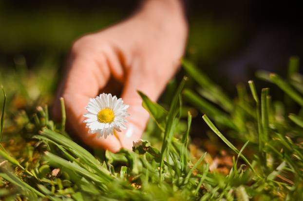 Zagreb: Tradicionalno bojanje uskršnjih jaja