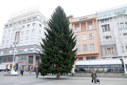 Zagreb: Na glavnom gradskom Trgu postavljen bor