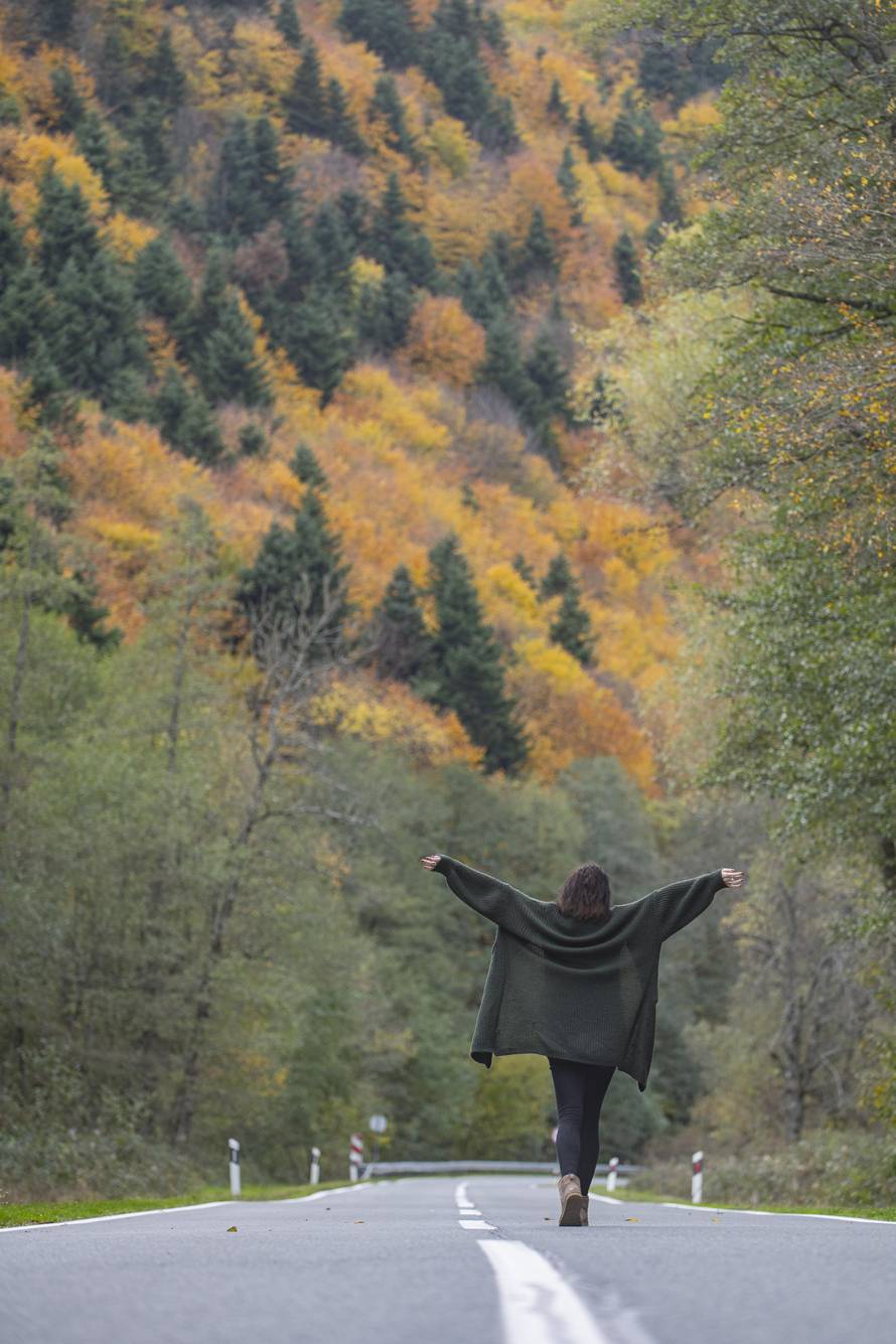 Mistična Papučka šuma – legende i neobjašnjive pojave