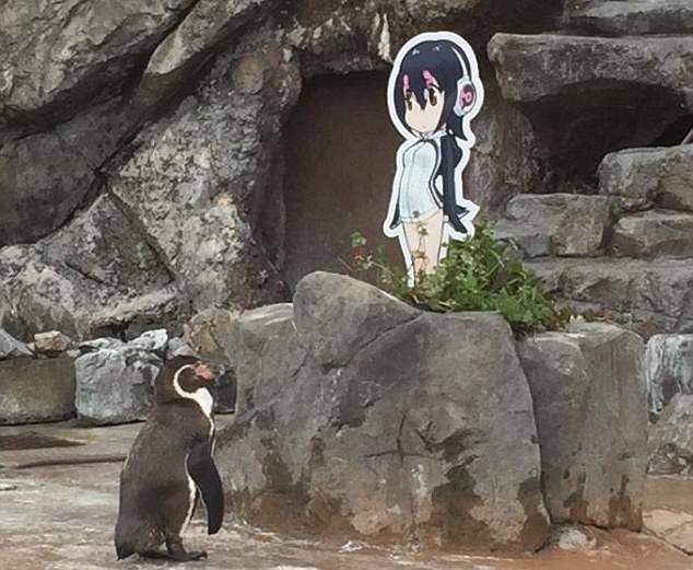 Zaljubljeni pingvin