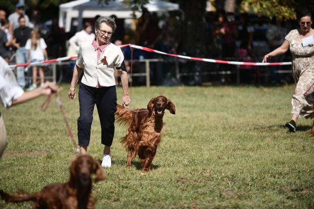 Nacionalna izložba pasa "Velika Gorica Trophy 2025"