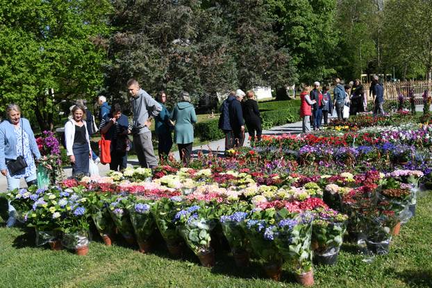 Daruvar: Sajam cvijeća, bilja i sadnica privukao mnogobrojne posjetitelje
