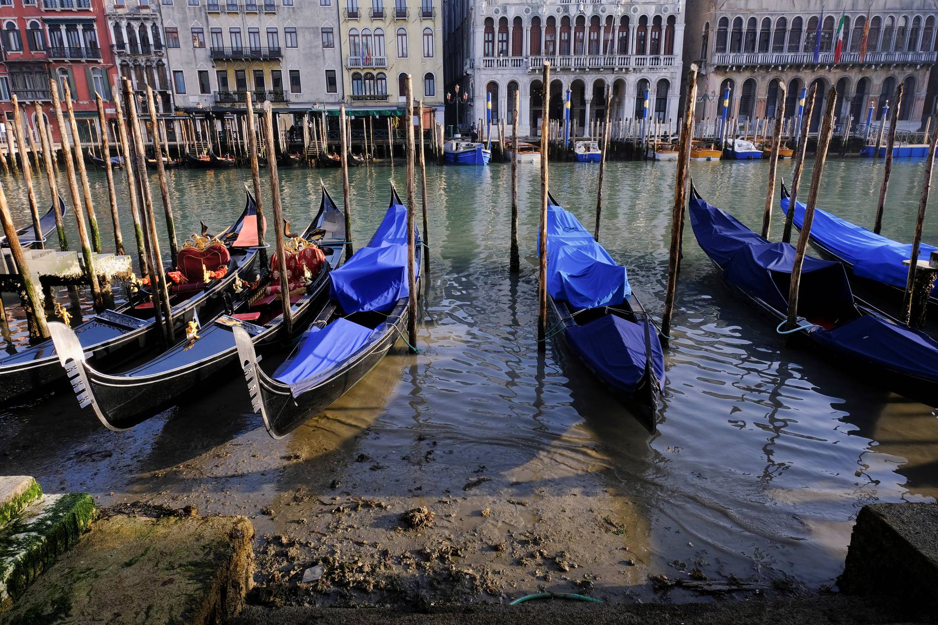 Gondolas are seen in Grand Canal during an exceptionally low tide in the lagoon city of Venice