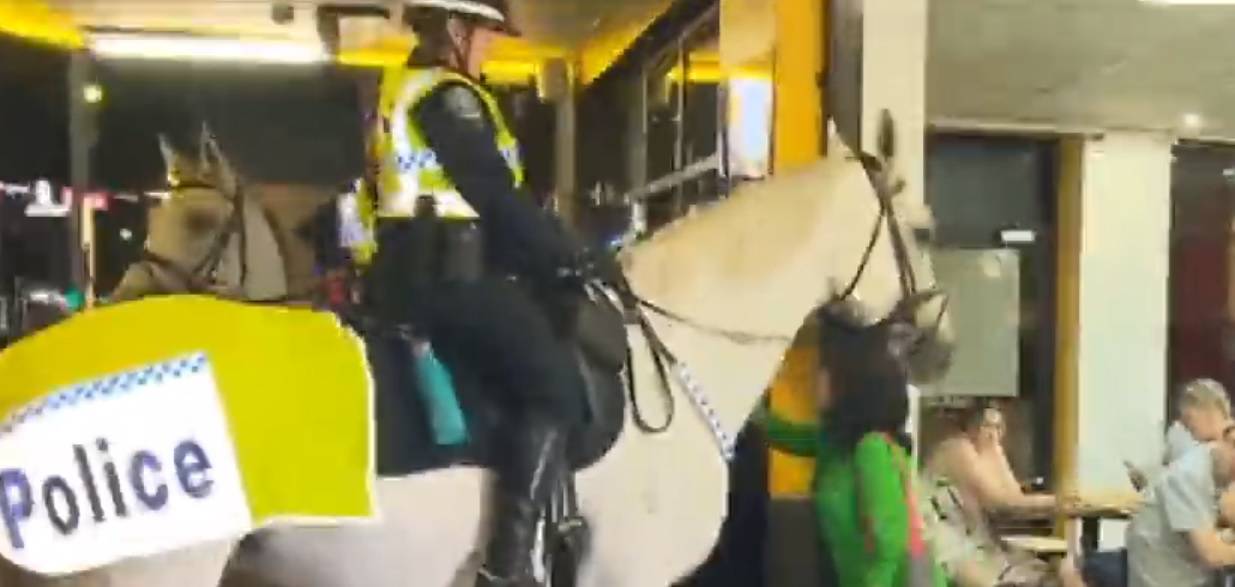 Žena pokušala udariti konja u glavu, onda reagirao policajac