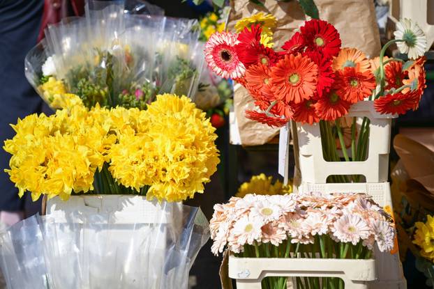 Zagreb: Velika ponuda i potražnja cvijeća za Dan žena