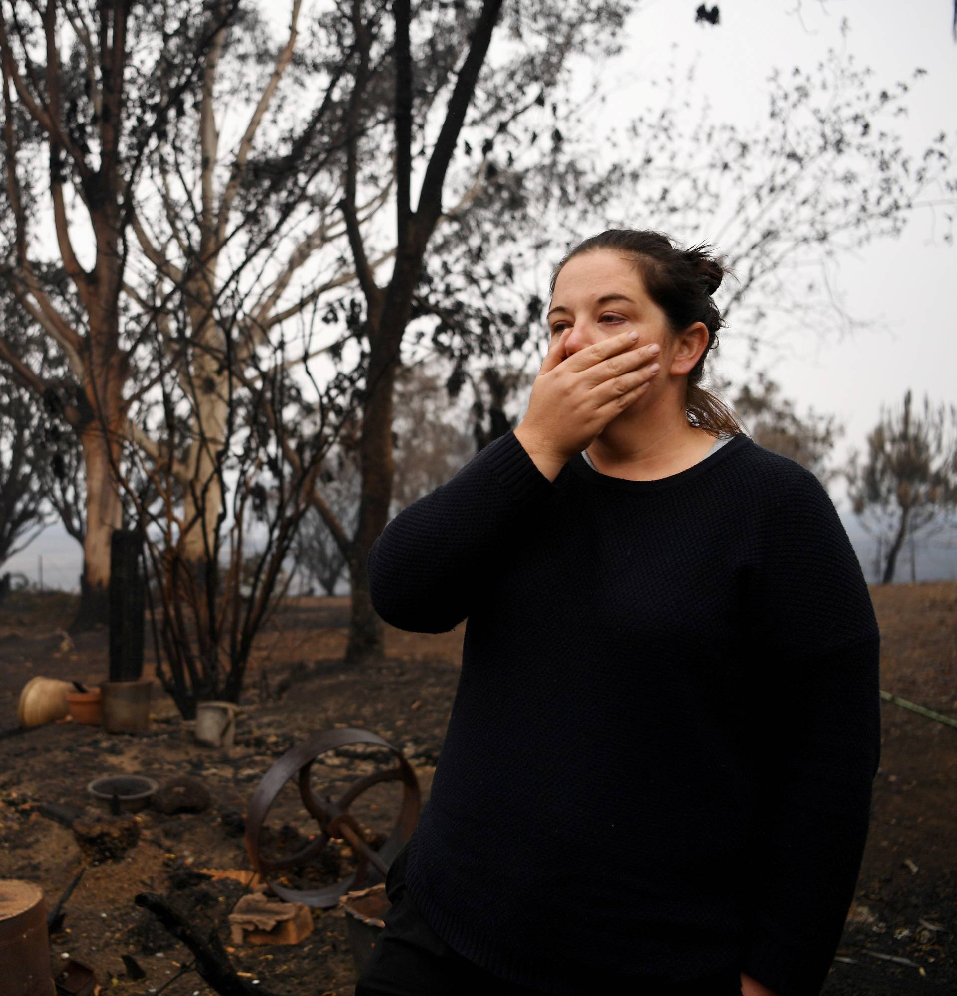 Bushfires in Cobargo, Australia