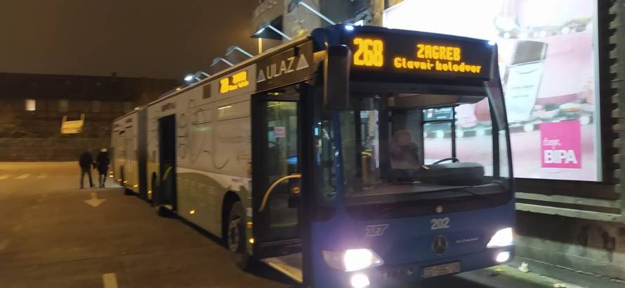 Vozač ZET-ova autobusa spasio ozlijeđenu sovu: 'Trebat će je operirati kako bi mogla letjeti'