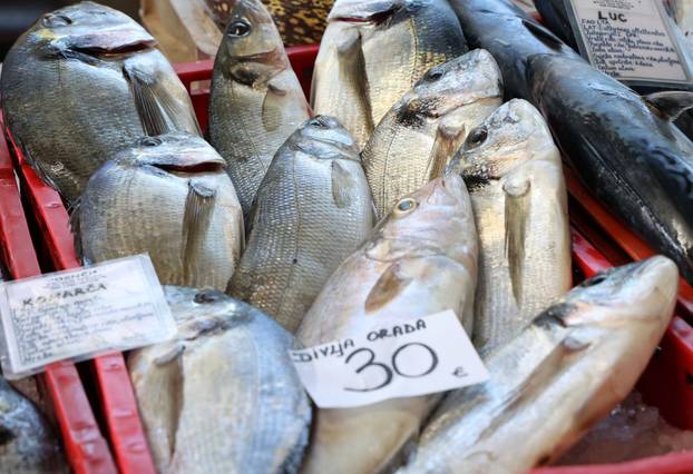 Šibenik: Ponuda ribe i ostalih morskih delicija