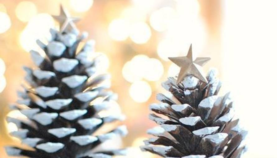 Evo kako možete iskoristiti šišarke za božićno ukrašavanje