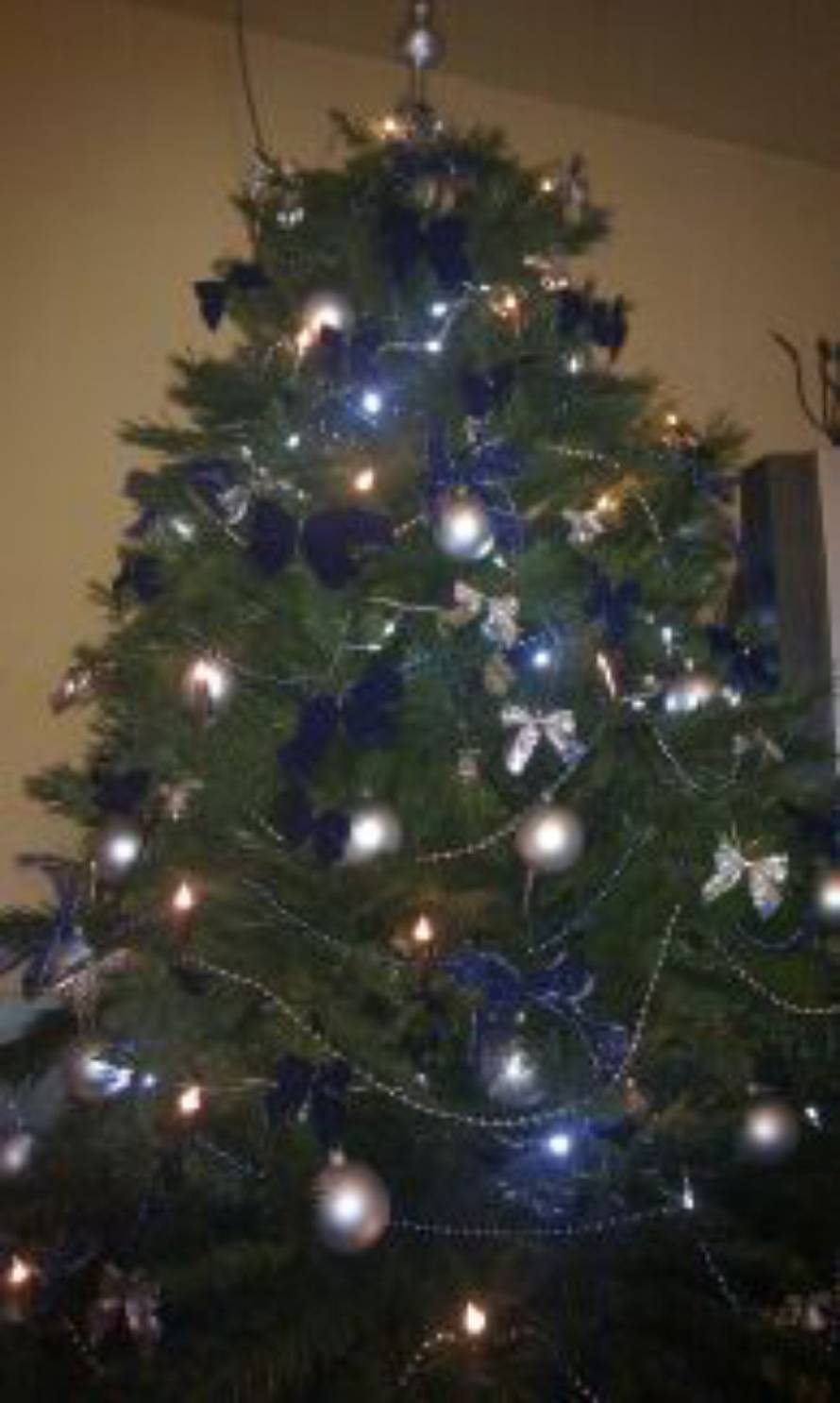 Šaljite fotografije božićnih jelki i osvojite vrijednu nagradu...