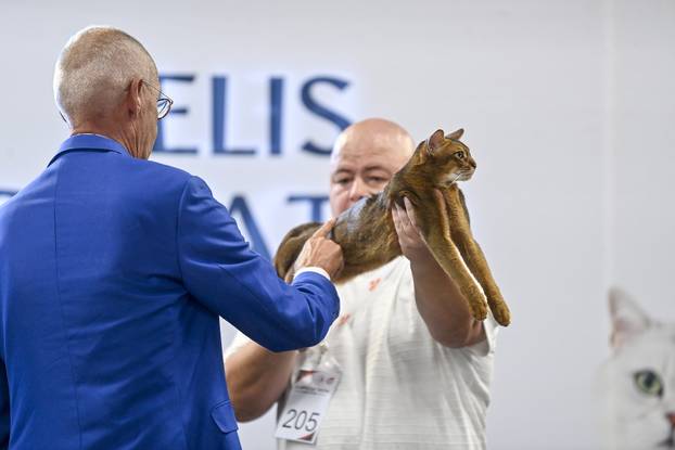Zagreb: Međunarodna izložba mačaka WCF Cat Olimpia 2025