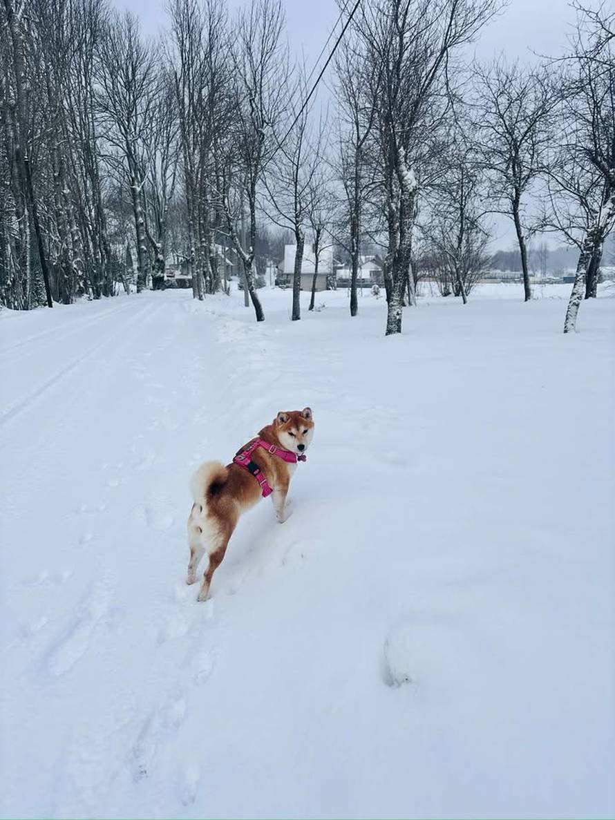Općinska komunalka sama 'izlopatala' snijeg sa staze: 'Nema nikakve drame u tome'