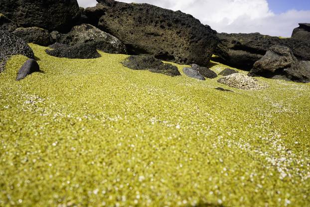 FOTO Da ovo postoji! Pogledajte prekrasne plaže s crnim, zelenim, ružičastim pijeskom..