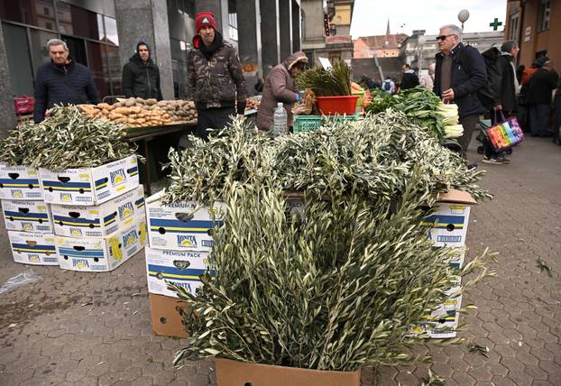 Zagreb: Prodaja maslinovih grančica uoči Cvjetnice