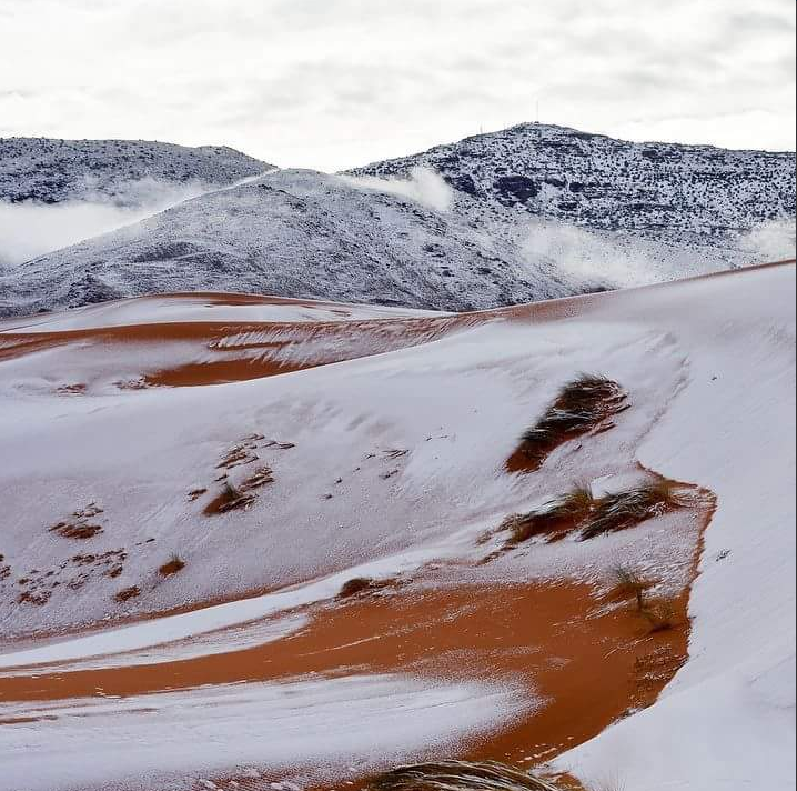 Sahara opet u bijelom: Snijeg pao već drugi put ove godine...