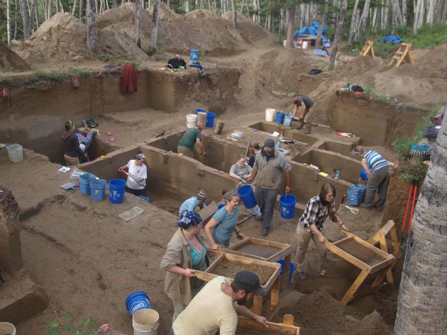 Scientists work at the Upward Sun River discovery site in Alaska's Tanana River Valley