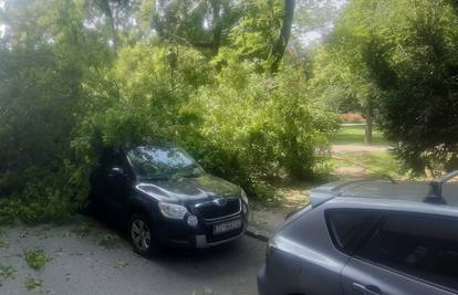 Ogromna grana pala preko čak četiri auta u parku u Zagrebu: 'Žena ju je za dlaku izbjegla!'