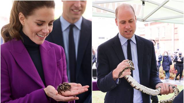 Kate držala tarantulu u ruci, a William hrabro mazio pitona