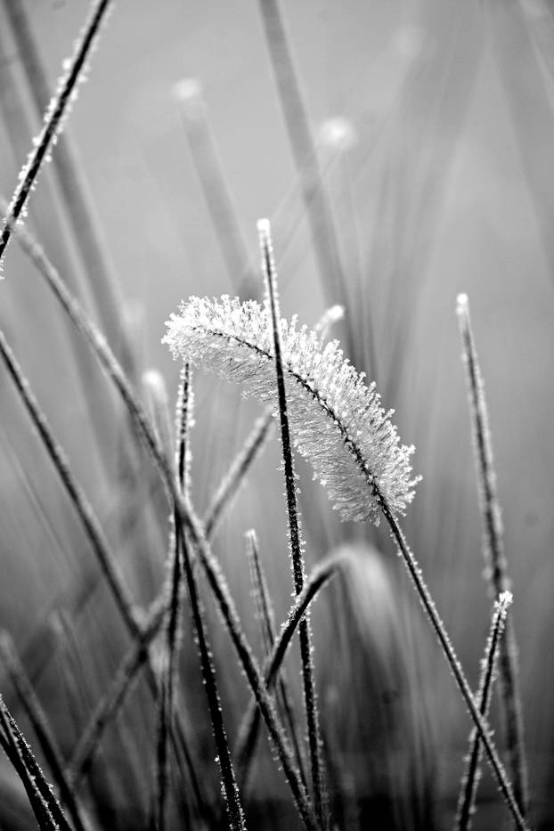 Zagreb: Gusta magla sakrila boje parka Maksimir