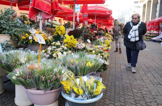 Zagreb: Na tržnicama su se pojavile mimoze, najviše ih ima na Splavnici