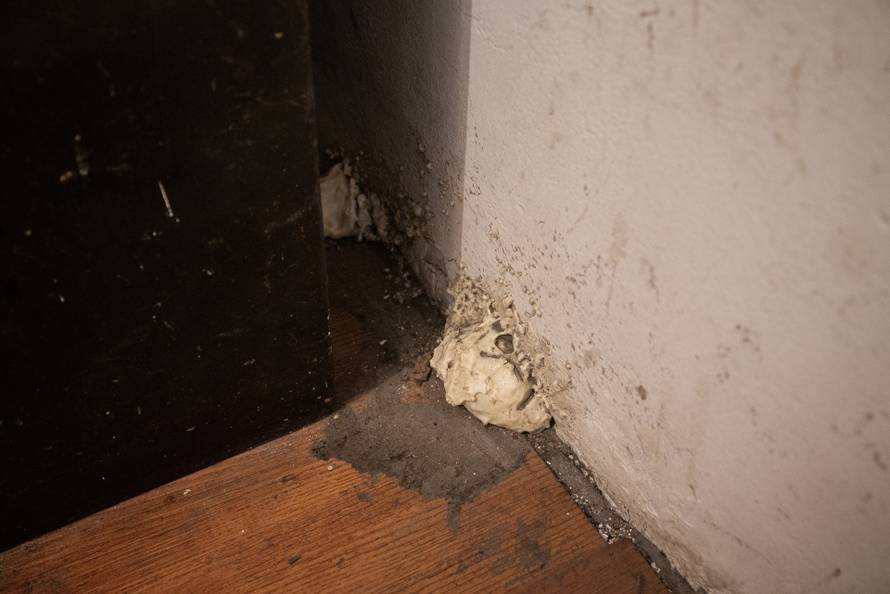 Andrej (3) živi u kući od blata punoj miševa: Teško govori i hoda, a mama ima epilepsiju