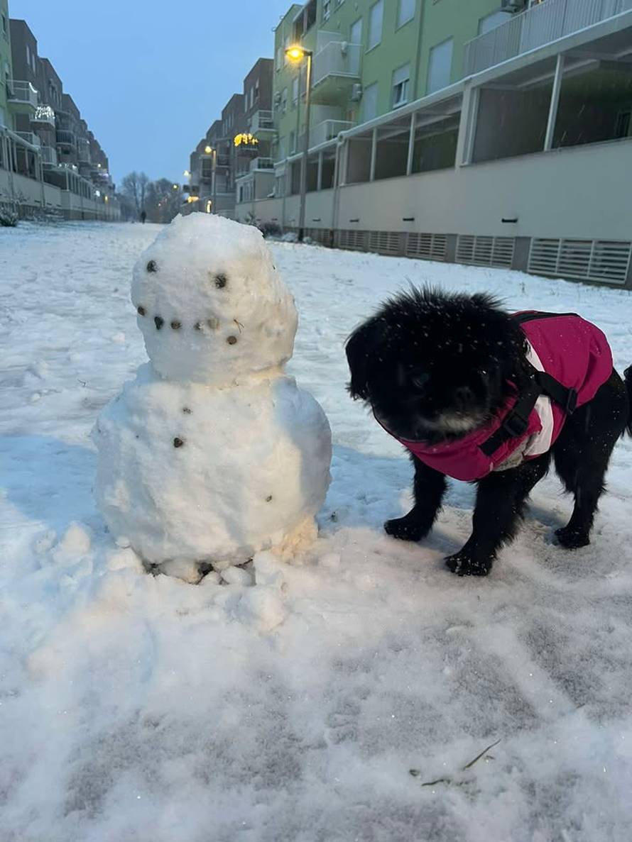 Općinska komunalka sama 'izlopatala' snijeg sa staze: 'Nema nikakve drame u tome'