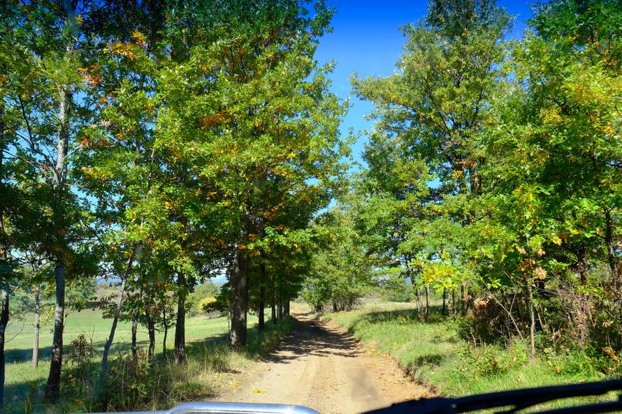 Cestom smrti do škole: Odroni, provalije, divlje svinje i poskoci