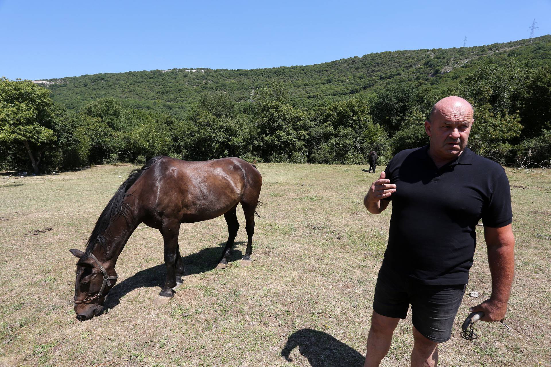 Iznad Vinodolskog: Plemenite životinje žive u teškim uvjetima