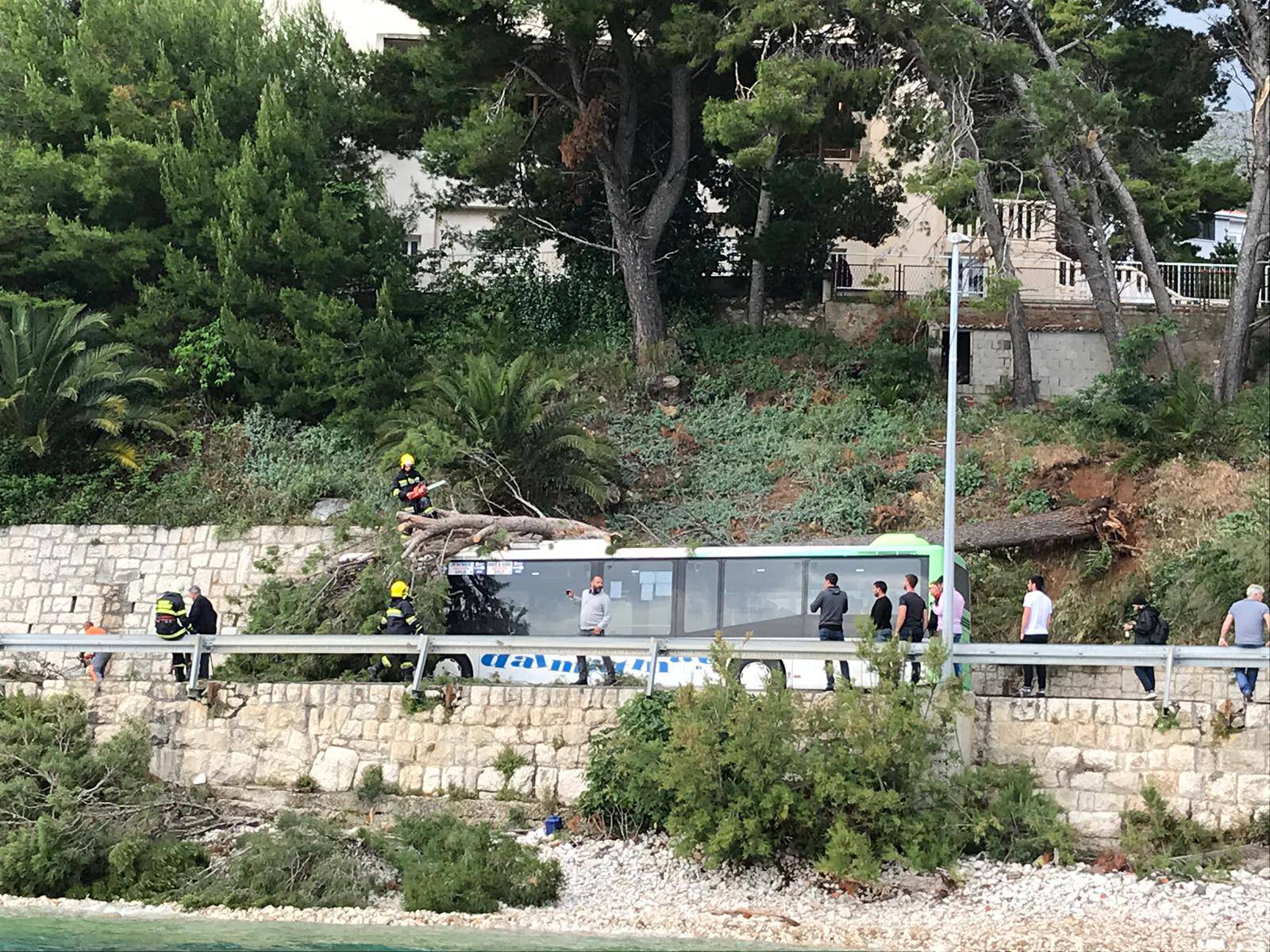 Nesreća između Splita i Omiša: Palo stablo i zgnječilo autobus