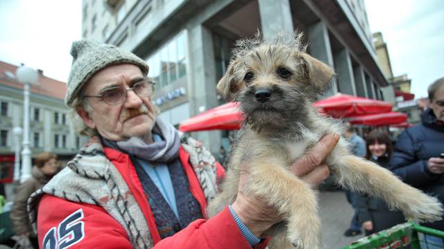 Zagreb: Preslatkim štencima pokušava osvijestiti gra?ane da pomognu napuštenim psima