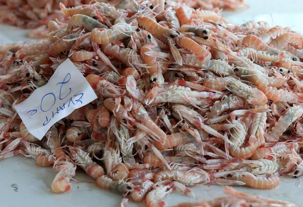 Šibenik:Bogata ponuda ribe na sibenskoj ribarnici.