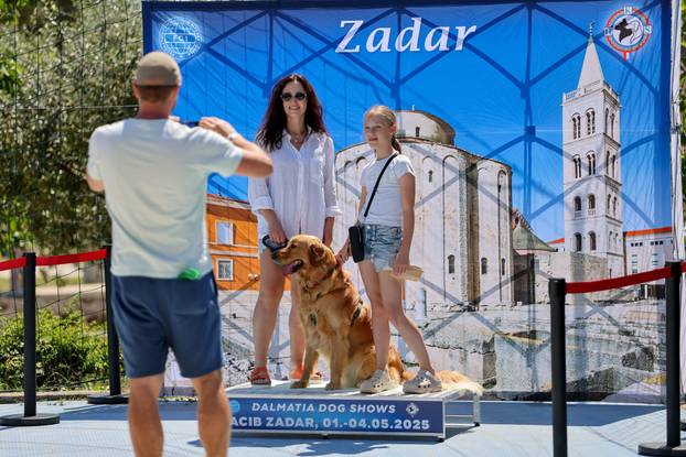 Zaton: Međunarodna izložba pasa pod nazivom CACIB Zadar 2025