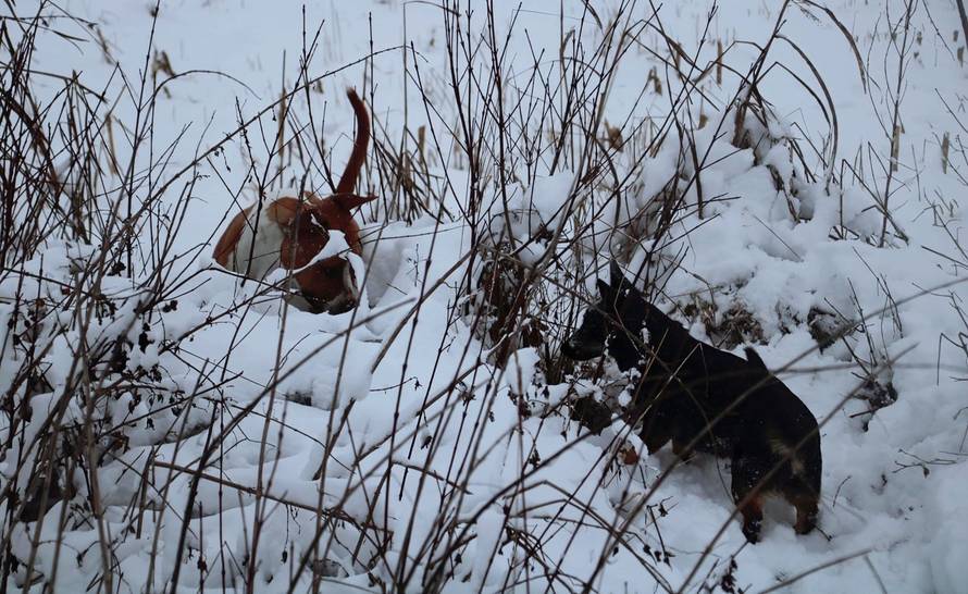 Općinska komunalka sama 'izlopatala' snijeg sa staze: 'Nema nikakve drame u tome'