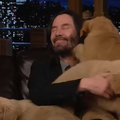 Keanu Reeves se u emisiji igrao sa psićima i raznježio mnoge pa rekao: 'Ja sam kralj štenaca!'