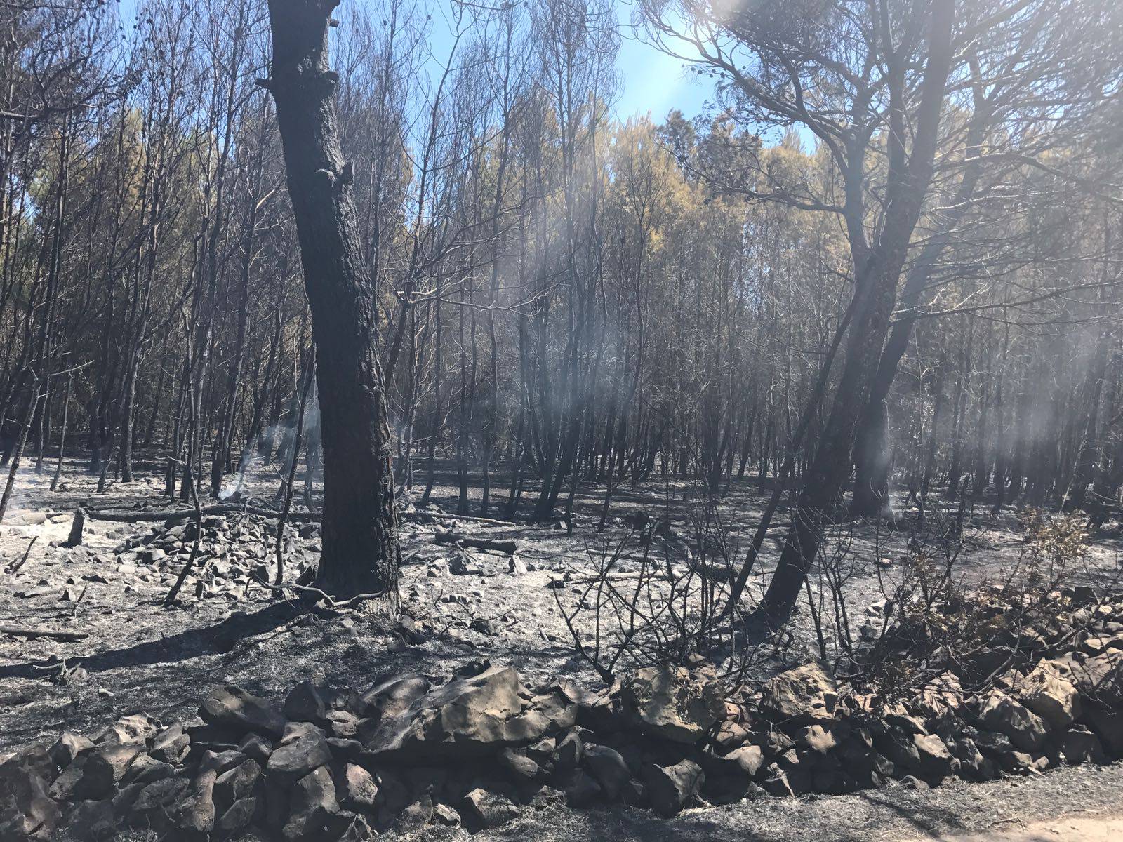 Kod Šibenika spasili kuće, gori kod Šestanovca, na Marjanu...