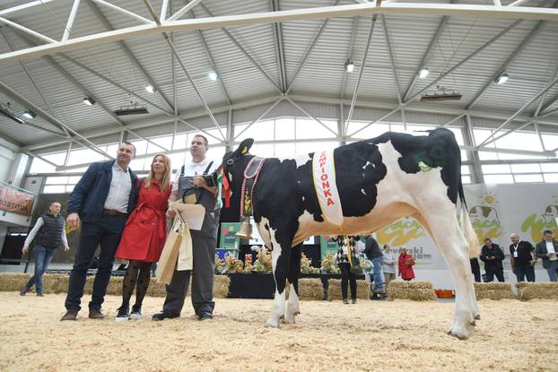 Gudovac: Junica Anabela u vlasništvu Belja proglašena šampionkom sajma holstein pasmine