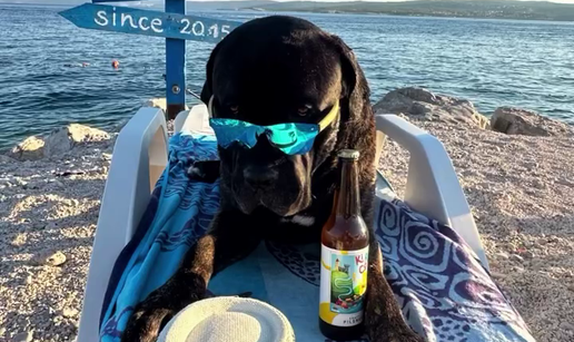 FOTO Pobjednik među 16 njuški: Kan je plivač za duge staze